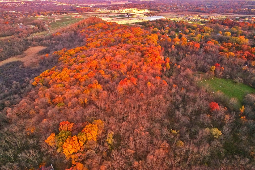 Mangan Woods