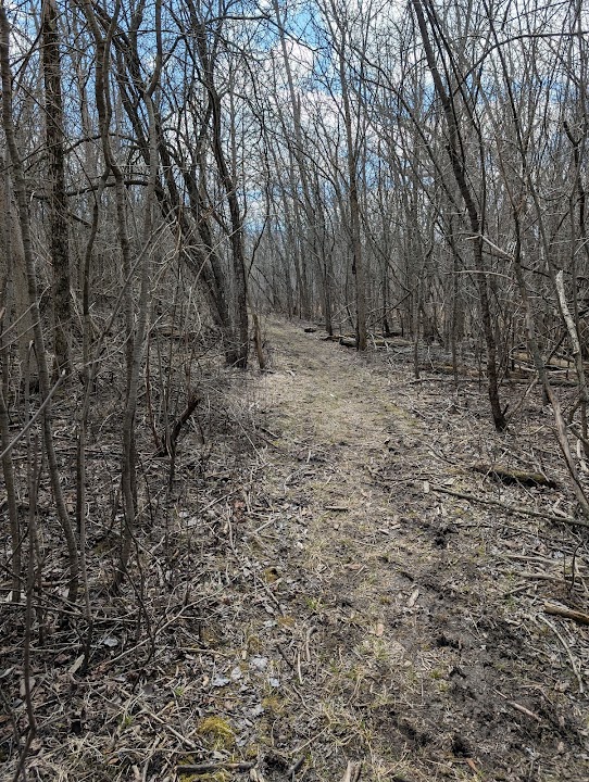 River Forest Nature Preserve