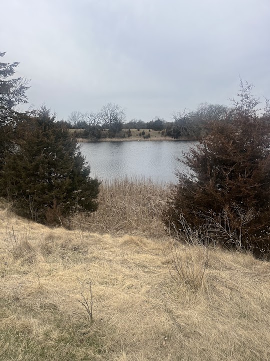 Chapman Park