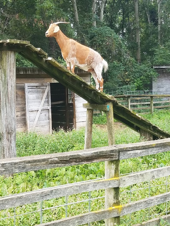 Concord Zoo