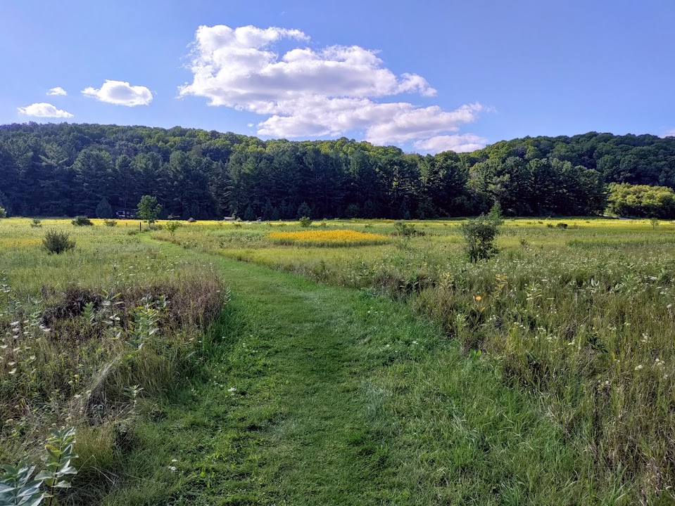 Loew Lake Unit of Kettle Moraine State Forest