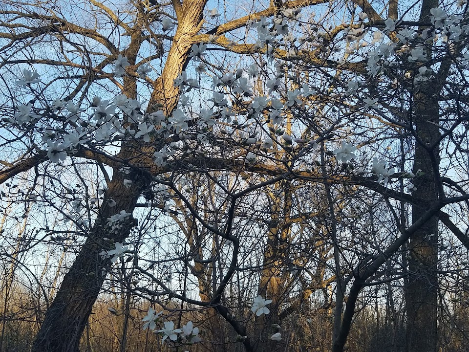Willow Bay Nature Preserve