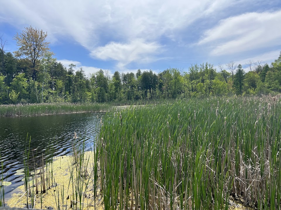 Cedarburg Bog State Natural Area