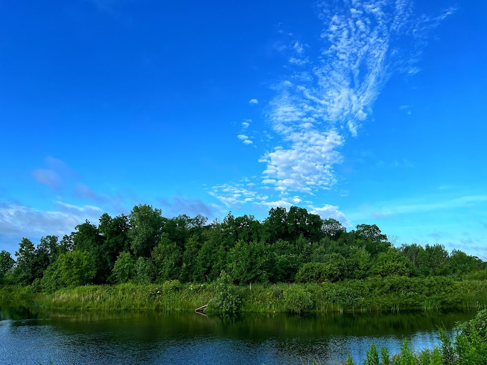 Emerald Preserve Park