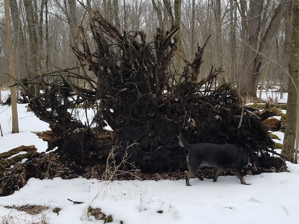 Germantown Wilderness Park
