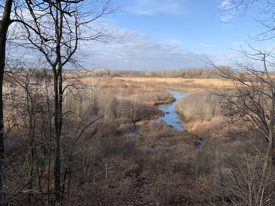 Stute Springs & Homestead Nature Trail
