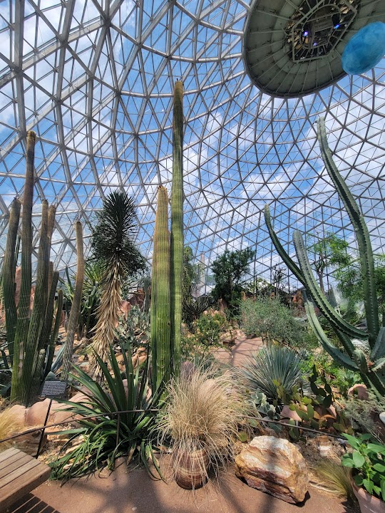 Desert Dome