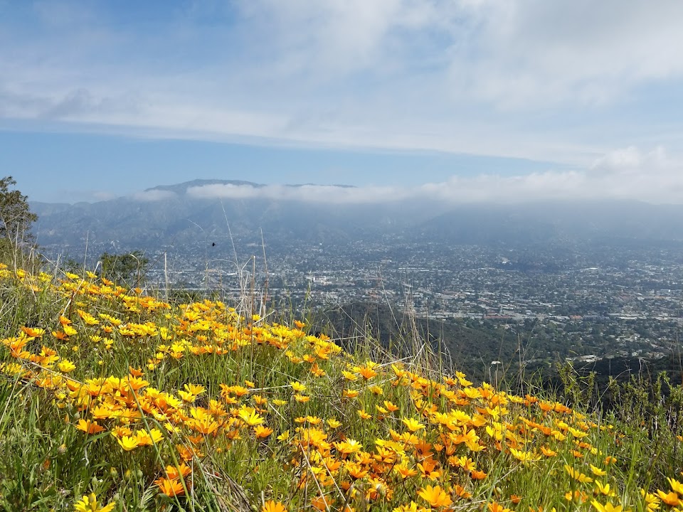 Verdugo Mountains Open Space Preserve