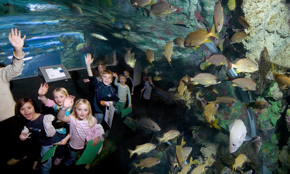 Discovery World's Reiman Aquarium
