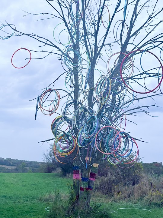 Hula Hoop Tree