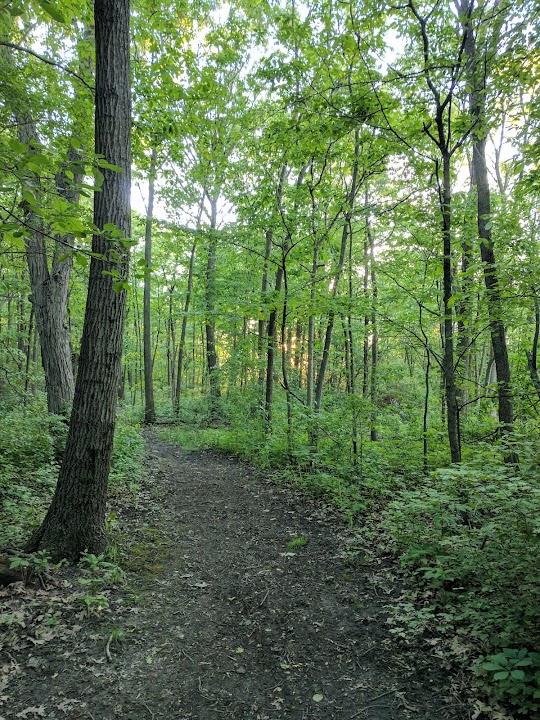 Trail To High Grove Park