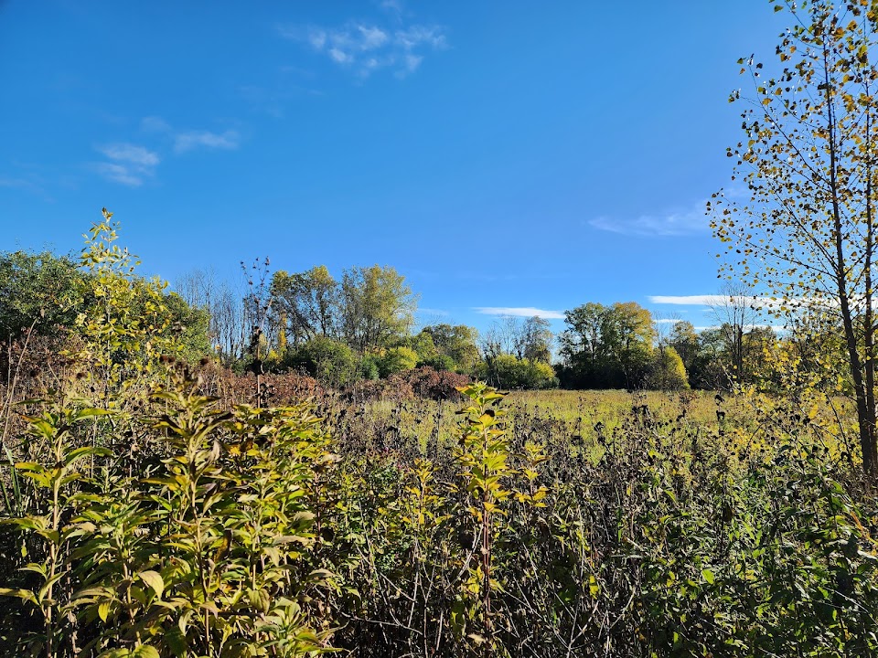 Oak Leaf Trail and Root River access