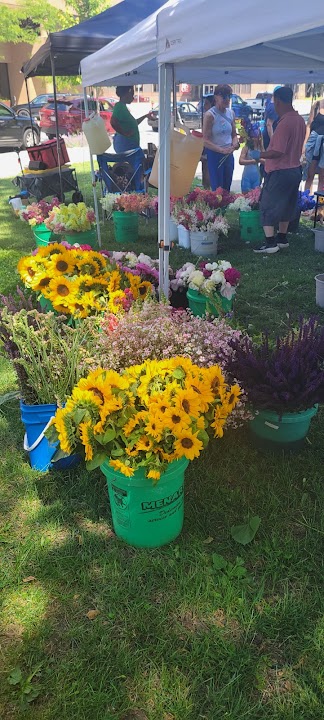 Cathedral Square Park Market
