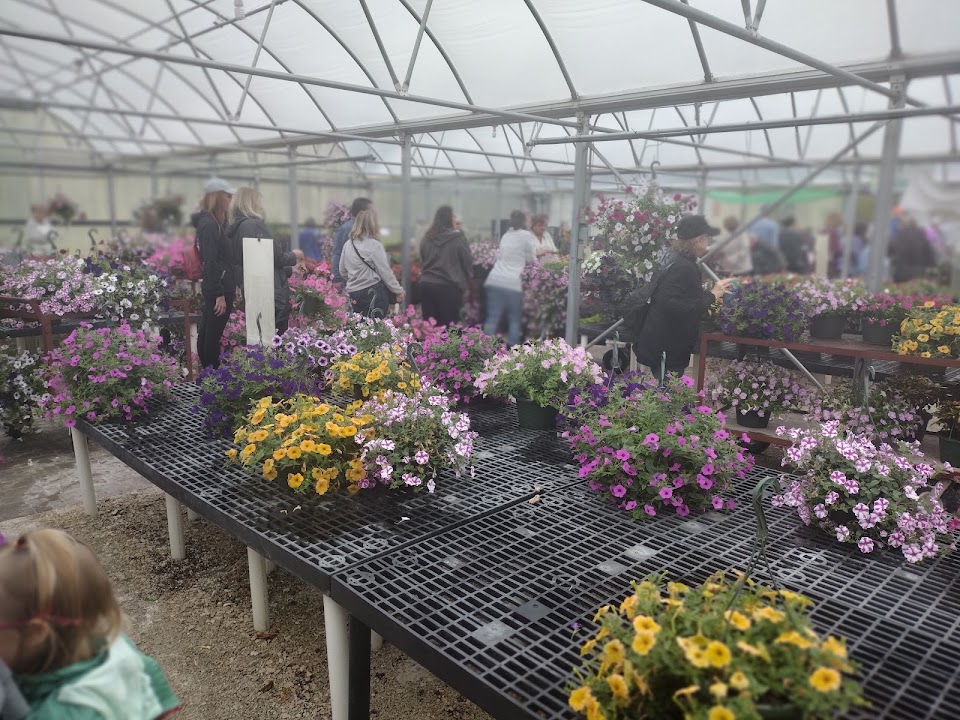 Wasaukee Plant Market
